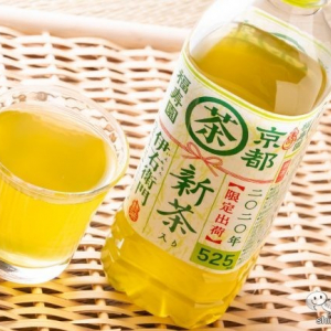 【2020新茶】初摘み茶葉使用でリニューアル後初『伊右衛門 新茶入り』は何が変わった!?【カロリーゼロ】