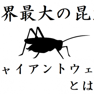 【ジャイアントウェタ】世界一巨大な昆虫はまさかのコオロギ！その驚異の大きさとは！？