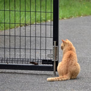 東洋占星術をもとにした毎週の占い。6/15-6/21の運勢をチェック！