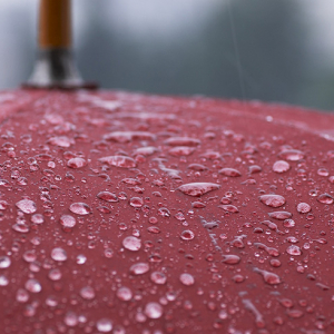 梅雨や大型台風による土砂災害や浸水…我が家の水害リスクについて考えよう