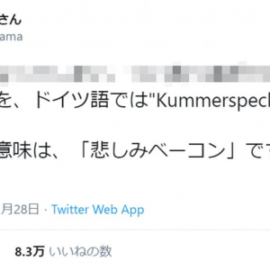 ドイツ語で「Kummerspeck（悲しみベーコン）」ってどんな意味？ 「まさに私」「悲しすぎる」との声