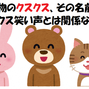 クスクスは笑い声みたいな可愛い名前の動物だけど･･･その由来は全然可愛くなかった！