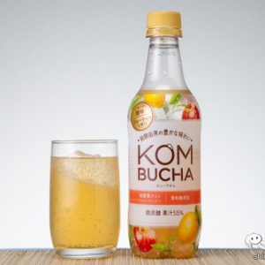 【発酵】果汁55%で飲みやすく!? 発酵炭酸飲料『KOMBUCHA（コン・ブチャ）』の驚きの味わい！【ダイエット】