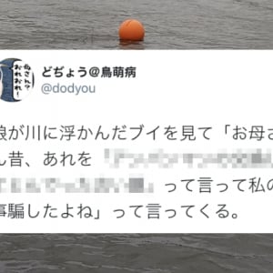 「お母さん昔、私の事騙したよね」川に浮かんだブイを見て小6の娘が放った言葉とは？