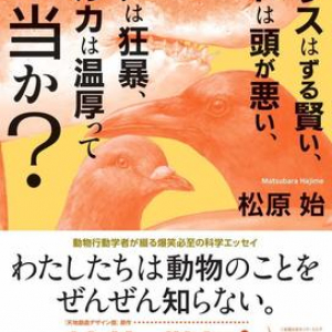 動物のイメージをまるっと覆す!? 動物行動学者が教える、生き物たちの真の姿