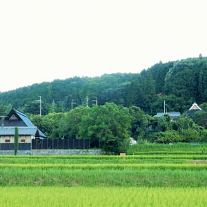 「ウィズコロナ」で高まる地方移住への意欲　田舎暮らしのメリットや成功させるコツは