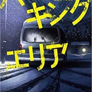 テイラー・アダムズの壮絶スリラー『パーキングエリア』