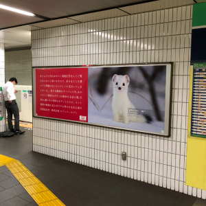 「看板広告なんてご覧にならないと思いますので･･」化粧品会社の広告が斜め上すぎる！