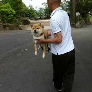 置物かよ！(笑) なす術もなく運搬されているワンコの表情が凄いと話題に！