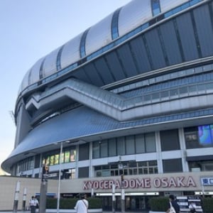 プロ野球「観客5000人」現地観戦で気づいた7つの変更ポイント