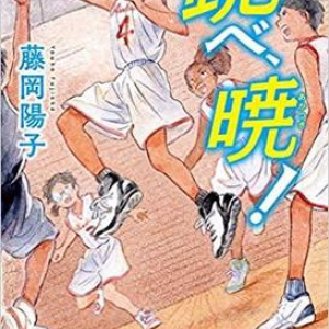 誰もが輝くバスケ小説〜藤岡陽子『跳べ、暁！』