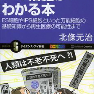 “毛髪”の再生は可能なのか？