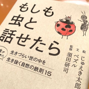 人生を生き抜く鉄則は昆虫から学ぶ！クロオオアリの教えとは！？