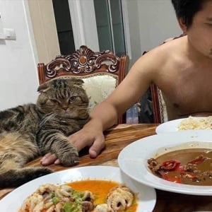 「猫に夫を盗まれた！」と訴える妻の投稿写真が面白いと世界中で話題に！