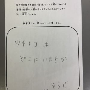 ツチノコはどこにいますか？少年の疑問に対する動物園スタッフの驚きの回答が話題！まさかこれは本物のツチノコでは？