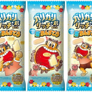 沖縄の伝統菓子ちんすこうを再現した「ガリガリ君リッチ塩ちんすこう」が新発売！