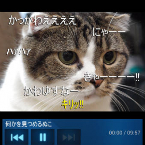 ニコ動やニコ生が快適に視聴できるAndroid用アプリ『niconico』リリース　Flash非対応端末でもこれで安心だね