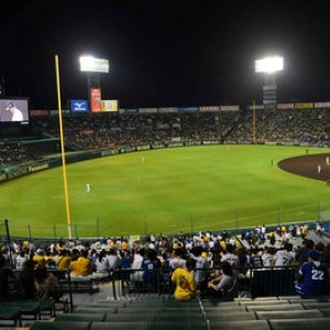 プロ野球「観客1万人」現地観戦、数が増えて変わった点 【阪神甲子園球場 編】