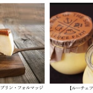 話題のスイーツをホテルで食べ比べ！ホテル エルシエント大阪で「スイーツフェア」を開催