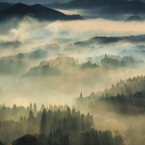 まるで水墨画のような絶景･･･京都府某所で撮影した写真が神秘的だと話題に！