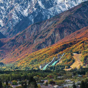 あまりの絶景に思わず息を呑む･･･白馬村の紅葉と雪山のグラデーションが圧巻！