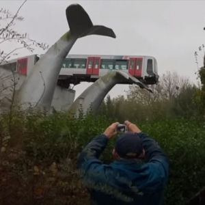 えっ！？マジかよ･･･クジラの彫刻にトンデモナイものが激突していた！驚愕の光景が話題に