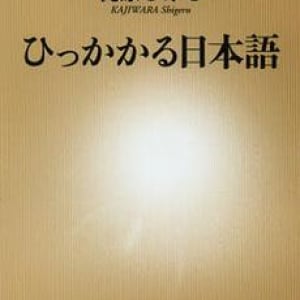 プロアナウンサーが徹底調査、日常生活の“ひっかかる”日本語