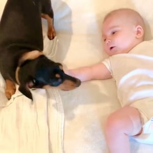 「一緒にねんねするワン♪」子犬が嬉しそうに赤ちゃんに寄り添う動画が可愛すぎて癒される