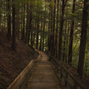 【動画で巡る秘境旅！】祖谷の秘境とかずら橋を巡る動画が凄いと話題に！？