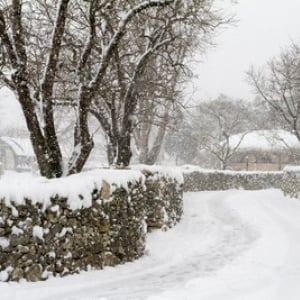 【今日のこよみ】　２０２０年１２月7日は暦の上では「大雪」あたります。