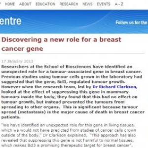 がん細胞の増殖を規制すると思われていた遺伝子の正体