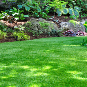 芝生につく害虫の種類と駆除方法 ～ 早めのサインで芝生を守ろう！