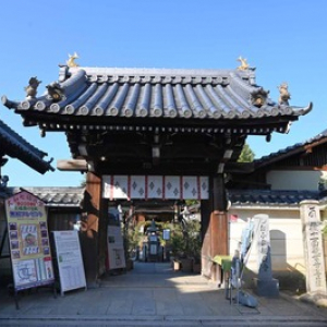 【奈良 橿原・飛鳥の旅】 フォトジェニックでSNS人気“バラの寺”おふさ観音