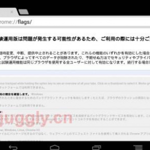 「Chrome Beta for Android」がv25.0.1364.47にアップデート、試験運用機能オプション「chrome://flags」をサポート