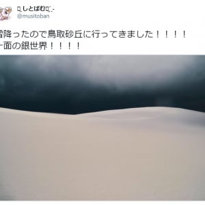 鳥取砂丘に雪が降ると……!? 幻想的な光景に「異世界感半端ない」「行ってみたい」の声