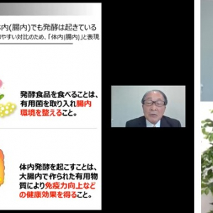 健康な腸を維持するにはビフィズス菌と食物繊維のコラボがポイント!?