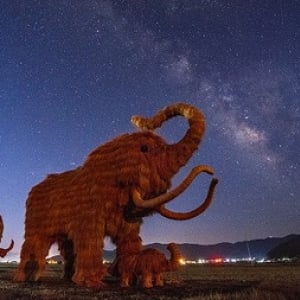 田んぼに巨大「わらマンモス」、冬はライトアップと雪景色も 愛媛・西予市