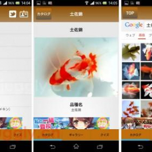 金魚の図鑑アプリ「日本金魚図鑑-Japanese goldfish-」がAndroidアプリになって登場