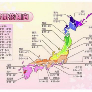 今年のお花見はいつがベスト？ウェザーニューズ「桜開花傾向」を発表　