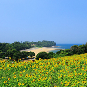 コロナ禍で高まる移住熱。『田舎暮らしの本』編集長が注目する地域と特徴って？