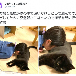 娘と猫が大騒ぎ →突然静かになったので様子を見に行った結果…… 尊すぎる光景が広がっていた