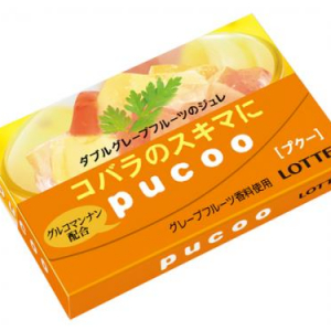 【働く女性の味方!?】小腹が減ったときにこっそり食べたいガム「プクー」が登場