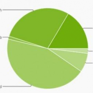 世界中で使われているAndroidのバージョン別シェア（2013年2月）、ICSとJelly Beanのシェア合計がGingerbreadのシェアを抜く