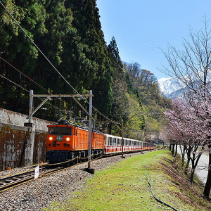 ことしも黒部峡谷鉄道トロッコ電車が走る！ 4月20日から順次