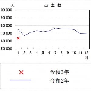 【衝撃】このままいくと日本が消滅の危機か / 令和3年1月の出生数が前年比で激減「世界的レベルでは双子が増加」