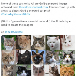 この世に存在しないネコの画像を自動生成するウェブサービス 「たまにホントにいたら怖すぎるネコが生成されるよ」「ネコまでフェイクの時代」
