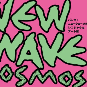 パンク・ニューウェーヴのレコジャケとアート展「NEW WAVE COSMOS 2021」