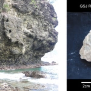 「県の花」「県の鳥」は有名だけど“県の石”を日本地質学会が発表してるって知ってますか？。あなたの県は？