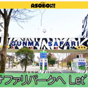 動物の生態をリアルに伝える！お菓子メーカー・カンロが「あそぼん！オンライン動物園」を開催。アーカイブ映像も配信中。