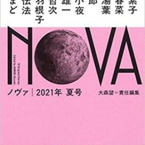 蜘蛛の糸で覆われ滅びゆく古都を描く坂永雄一の新作